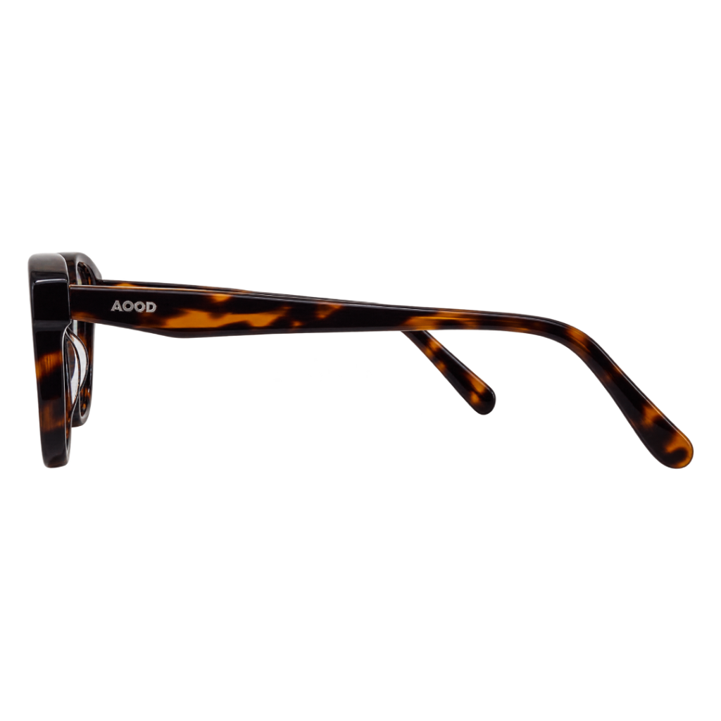 Montura Raquel Brown, vista 3