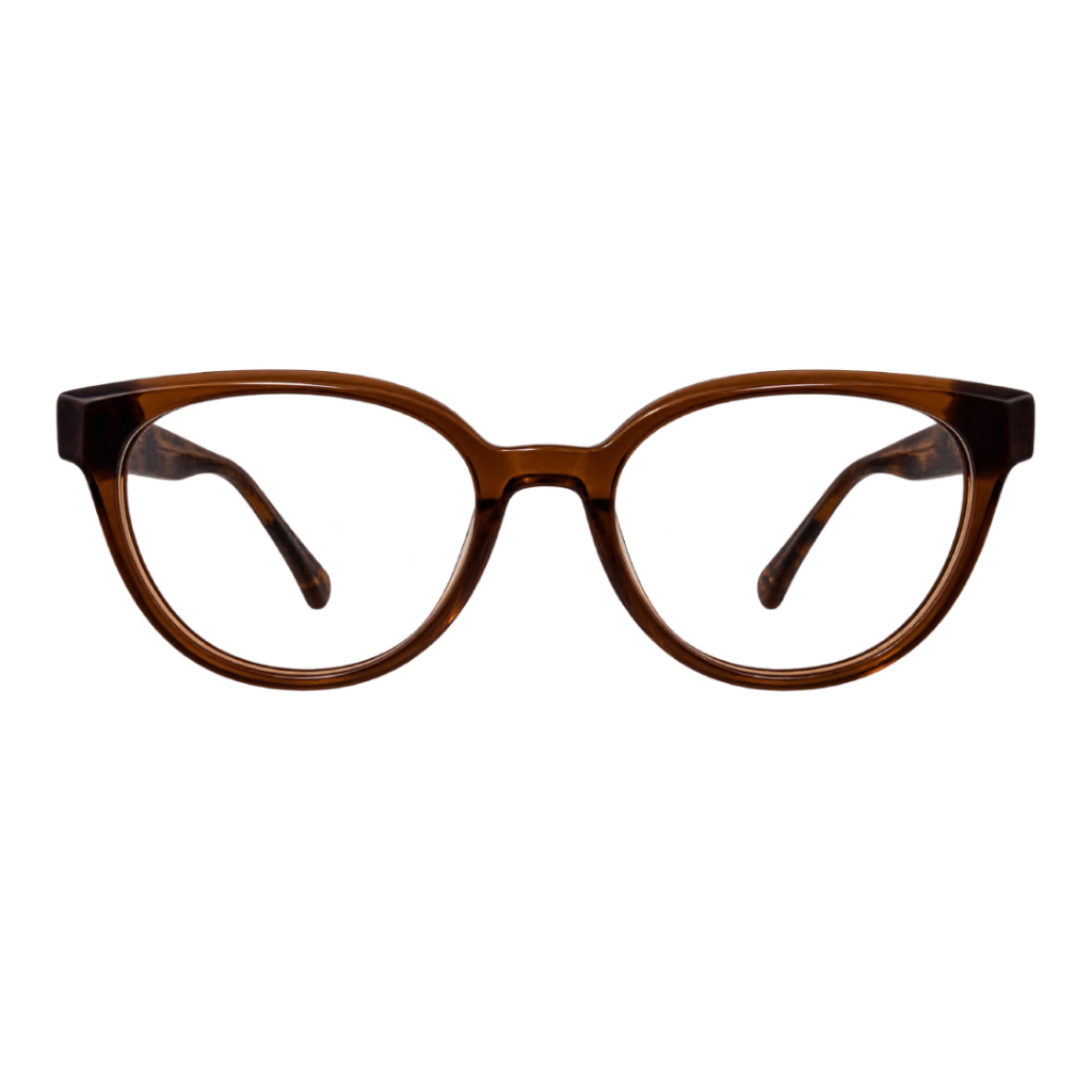 Montura Paris Brown